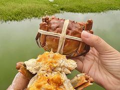 -君豪蟹都·湖景·农家乐(蟹舫苑店)