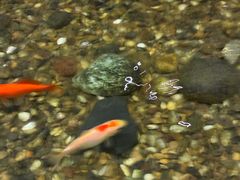 -邈墨茶馆(凤起路店)