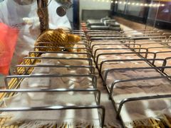 -粉粉乐鲷鱼烧(美罗城店)