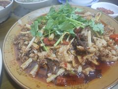 -小杨翘脚牛肉