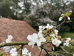 -中国茶叶博物馆(双峰馆区)