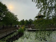 -五缘湾湿地公园