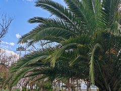 -海埂大坝