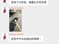 -美联众合动物医院·24h转诊中心