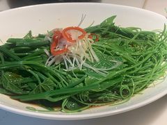-初蓉丨遇见新川菜(亲贤街荣耀店)