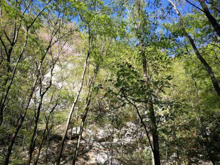 97人赞美食要细品82242020年6月10日打分西寺沟鱼庄位于西寺沟村,农家