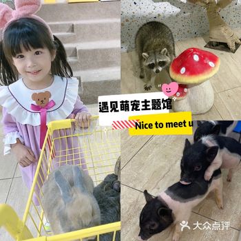 地址：中山路南中广场麦当劳旁扶梯负一楼 门票：68/