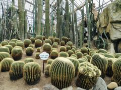 -南山植物园