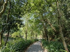 -广州白江湖森林公园