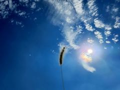 -白鹭湾湿地公园