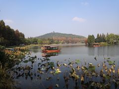 -上海市保健医疗中心(华东疗养院)