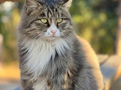 -北京西山国家森林公园