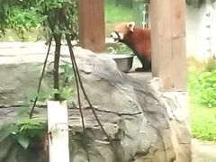 -黔灵山公园-南门售票处