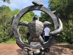 -广东惠东海龟国家级自然保护区
