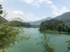 -广州市流溪河国家森林公园