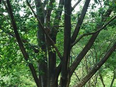 -华南国家植物园-售票处