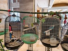 -廊坊固安福朋喜来登酒店