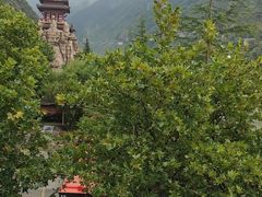 -汉中石门栈道风景区