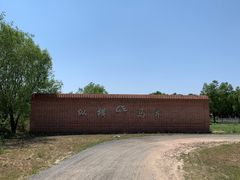 -北京群众马术培训基地