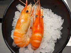 -水木锦堂·自助铁板烧(望京凯德MALL店)