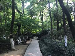 -虞山城墙