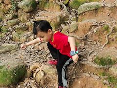 -火炉山森林公园