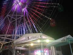 -飞来湖湿地公园