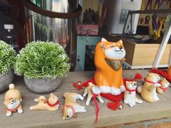 -柴犬高等学院·狗咖·柴犬售卖·宠物训练