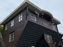 -金山农民画村-枫泾波兰倒置屋
