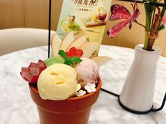 -哈根达斯(红谷滩万达店)