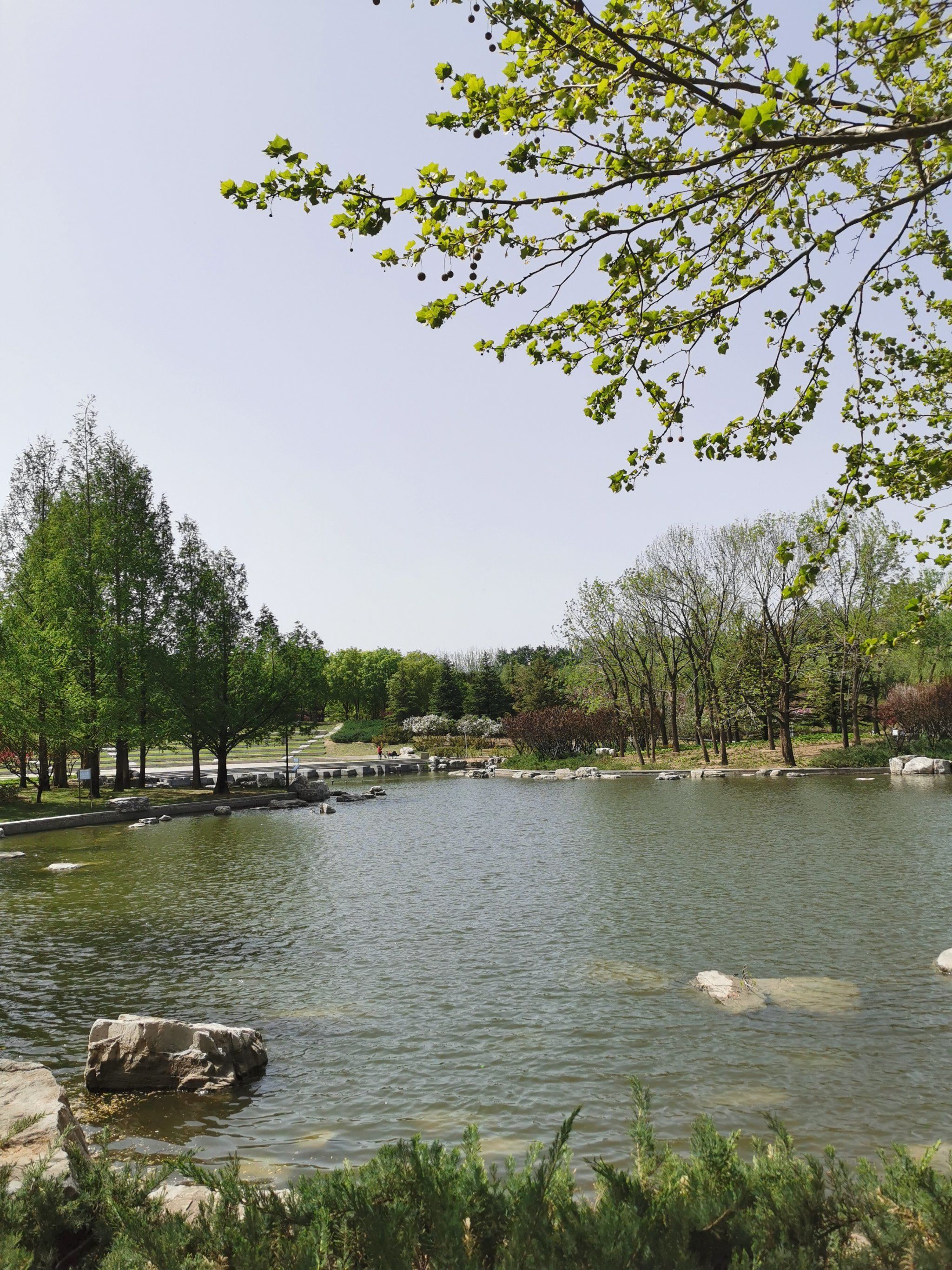 家门口的小公园,真不错