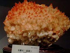 -湖南省地质博物馆