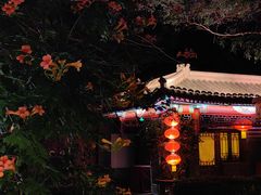 -白家大院·王府宫廷菜(苏州街店)