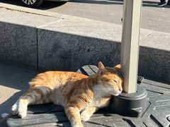 -沈阳辉山风景区