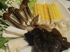 -川西坝子(老军营店)