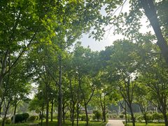 -石家庄市植物园