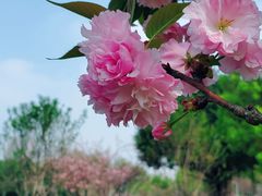 -重庆中央公园(渝北区)