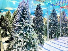 -世界之窗阿尔卑斯冰雪世界