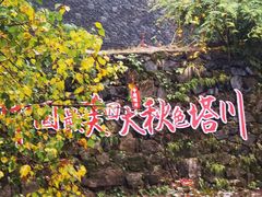 -塔川景区