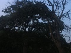 -福建鲤鱼洲酒店