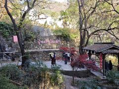 -塔川景区