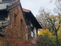 -灵谷景区