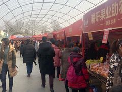 -秀丽东方