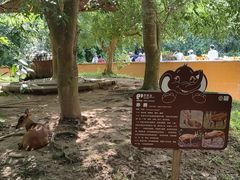 -野象谷景区