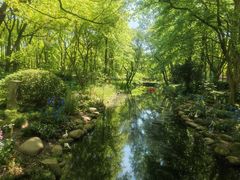 -上海共青森林公园