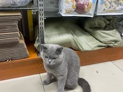 -正飞鲜奶(吐鲁番路店)