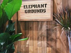 -Elephant Grounds(STARSTREET)