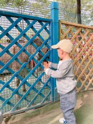 -萌宠亲子动物乐园(槐房万达店)