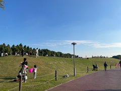 -滆湖低碳生态公园