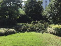 -陆家嘴金融服务广场